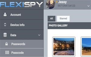 Flexispy Alternative