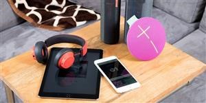 Baixar Programa Flexispy